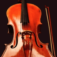  violoncelle
